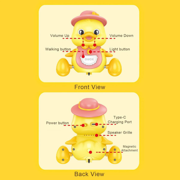 البطة واولادها